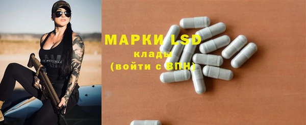 ПСИЛОЦИБИНОВЫЕ ГРИБЫ Аркадак