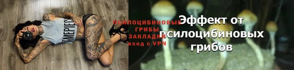 ПСИЛОЦИБИНОВЫЕ ГРИБЫ Аркадак