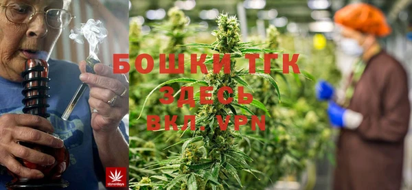 кокс Арсеньев
