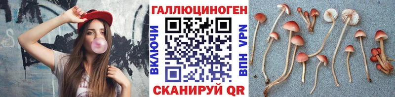 Галлюциногенные грибы GOLDEN TEACHER  Красный Кут 